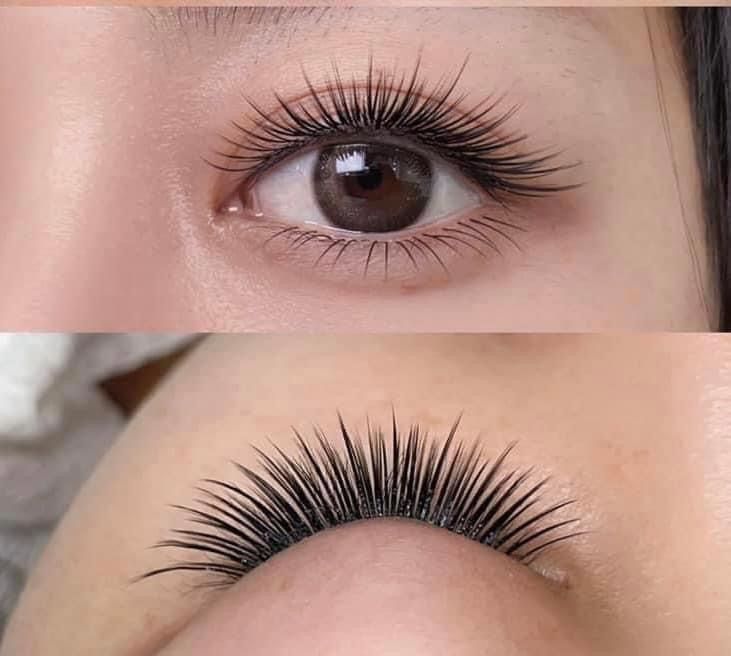 khóa học mi cơ bản