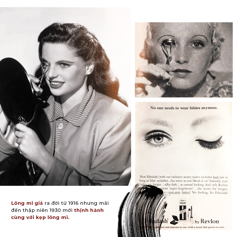 Lịch sử phát triển ngành mi